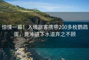 驚悚一幕！入境旅客攜帶200多枚鸚鵡蛋，竟沖進下水道棄之不顧