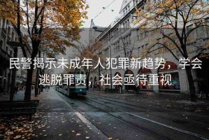 民警揭示未成年人犯罪新趨勢，學(xué)會逃脫罪責，社會亟待重視