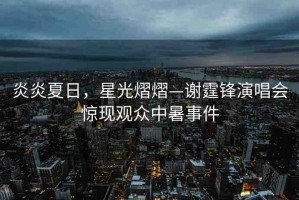 炎炎夏日，星光熠熠—謝霆鋒演唱會(huì)驚現(xiàn)觀眾中暑事件