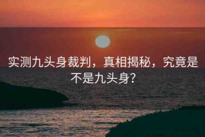 實測九頭身裁判，真相揭秘，究竟是不是九頭身？