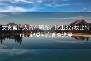 女貪官驚人資產(chǎn)曝光，挖出327枚比特幣，紀(jì)委回應(yīng)調(diào)查進(jìn)展