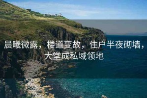 晨曦微露，樓道變故，住戶半夜砌墻，大堂成私域領(lǐng)地