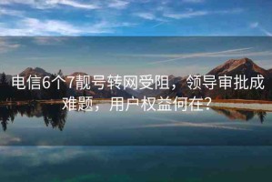 電信6個(gè)7靚號(hào)轉(zhuǎn)網(wǎng)受阻，領(lǐng)導(dǎo)審批成難題，用戶權(quán)益何在？
