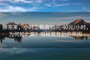胖東來，小時工薪資30元-40元/小時，為何如此高？揭秘其背后的原因