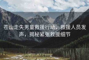蒼山走失男童救援行動，救援人員發(fā)聲，揭秘緊張救援細節(jié)