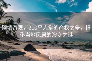 砌墻奇觀，200平大堂的產權之爭，揭秘當?shù)孛窬拥难葑冎i