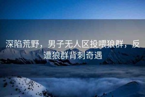 深陷荒野，男子無(wú)人區(qū)投喂狼群，反遭狼群背刺奇遇