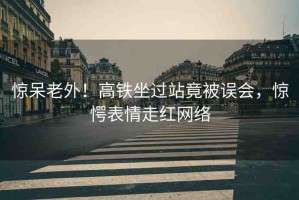 驚呆老外！高鐵坐過(guò)站竟被誤會(huì)，驚愕表情走紅網(wǎng)絡(luò)