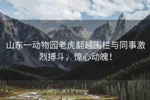 山東一動(dòng)物園老虎翻越圍欄與同事激烈搏斗，驚心動(dòng)魄！