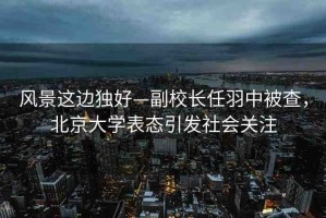 風(fēng)景這邊獨(dú)好—副校長任羽中被查，北京大學(xué)表態(tài)引發(fā)社會(huì)關(guān)注