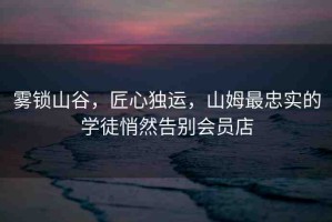 霧鎖山谷，匠心獨(dú)運(yùn)，山姆最忠實(shí)的學(xué)徒悄然告別會(huì)員店