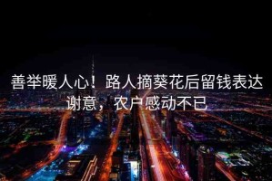 善舉暖人心！路人摘葵花后留錢表達謝意，農(nóng)戶感動不已