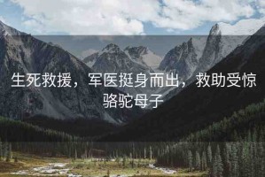 生死救援，軍醫(yī)挺身而出，救助受驚駱駝母子