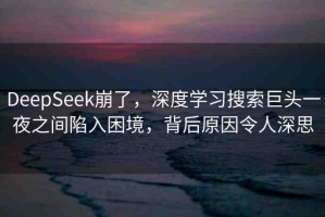 DeepSeek崩了，深度學(xué)習(xí)搜索巨頭一夜之間陷入困境，背后原因令人深思