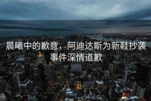 晨曦中的歉意，阿迪達(dá)斯為新鞋抄襲事件深情道歉