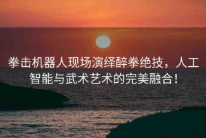 拳擊機器人現(xiàn)場演繹醉拳絕技，人工智能與武術(shù)藝術(shù)的完美融合！