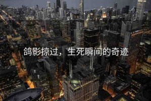 鴿影掠過，生死瞬間的奇跡