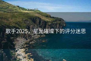 歌手2025，星光璀璨下的評分迷思