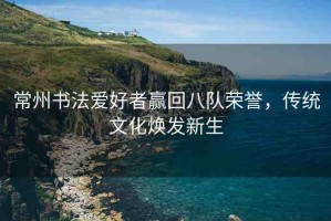 常州書法愛好者贏回八隊(duì)榮譽(yù)，傳統(tǒng)文化煥發(fā)新生