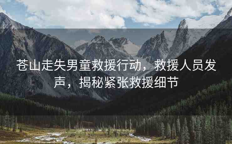 蒼山走失男童救援行動(dòng)，救援人員發(fā)聲，揭秘緊張救援細(xì)節(jié)