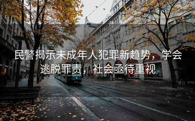 民警揭示未成年人犯罪新趨勢，學(xué)會逃脫罪責(zé)，社會亟待重視