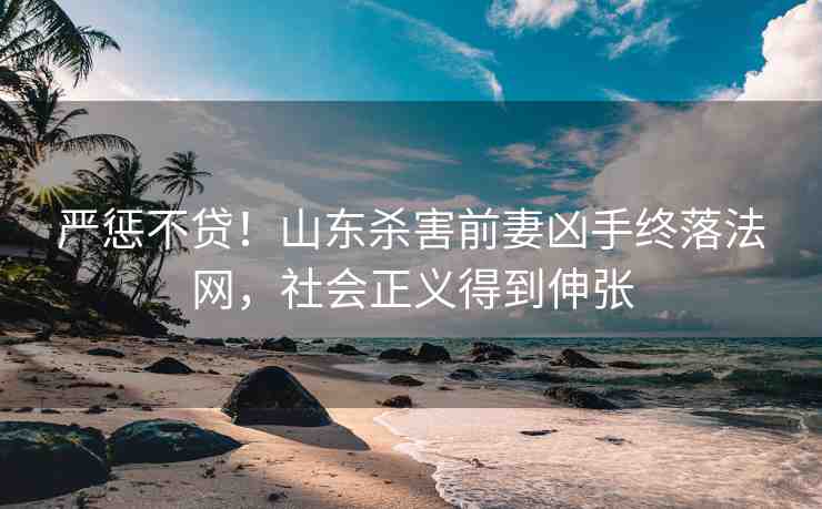 嚴(yán)懲不貸！山東殺害前妻兇手終落法網(wǎng)，社會正義得到伸張