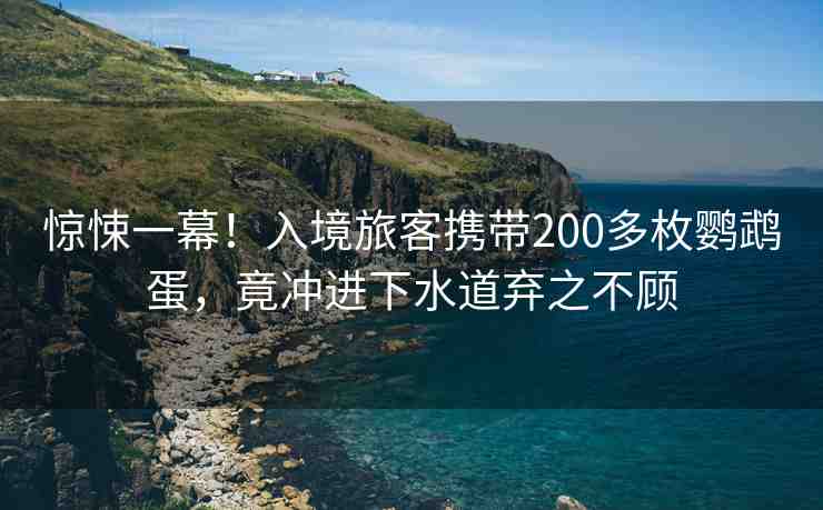 驚悚一幕！入境旅客攜帶200多枚鸚鵡蛋，竟沖進(jìn)下水道棄之不顧