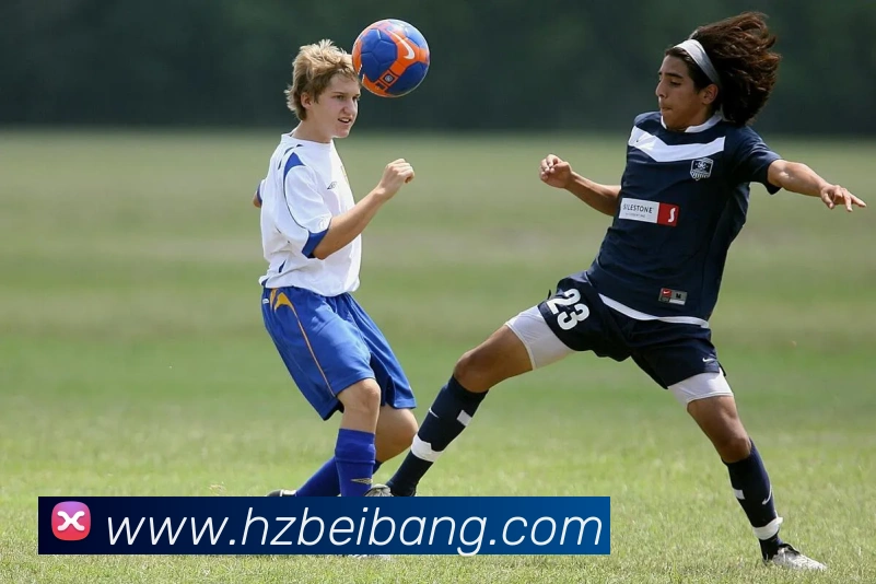 J9集团平台生态图