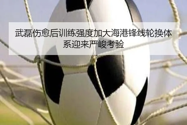 武磊伤愈后训练强度加大海港锋线轮换体系迎来严峻考验
